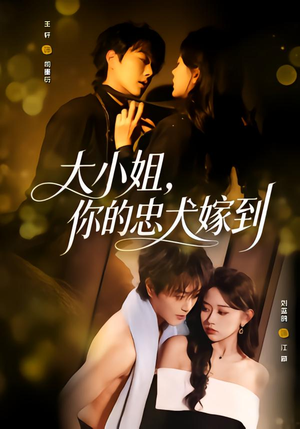 大小姐，你的忠犬嫁到（80集）短剧全集连看不停歇