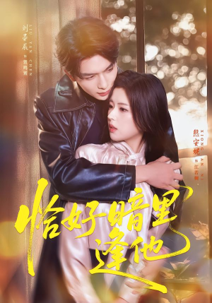 恰好暗里逢他（66集）短剧热播全集免费追