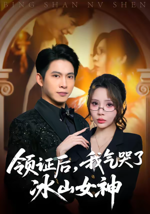 领证后，我气哭了冰山女神（60集）短剧全季限免大放送