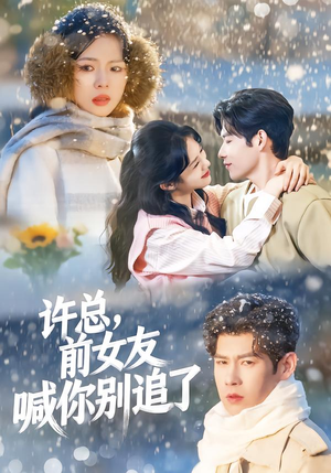 许总，前女友喊你别追了（80集）短剧合集导演剪辑版