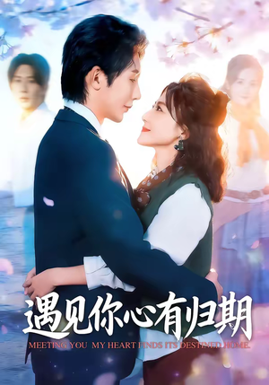 遇见你心有归期（81集）短剧合集4K修复版