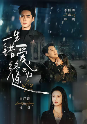 一生错爱，终无归途（74集）短剧合集通宵追更版