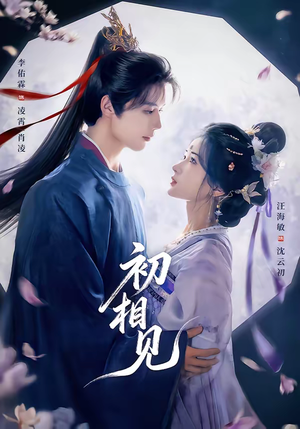 初相见（76集）短剧合集杜比音效版