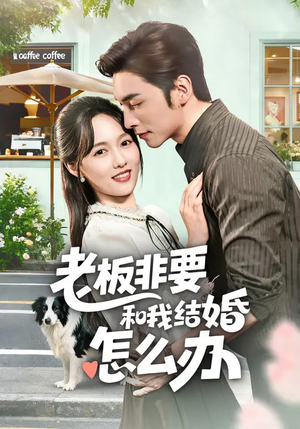 老板非要和我结婚怎么办（50集）短剧结局篇全集直通