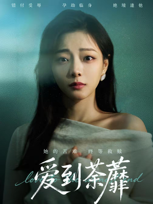 爱到荼蘼（63集）短剧大结局限免特辑