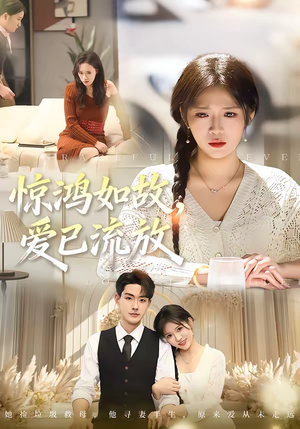 惊鸿如故，爱已流放（81集）短剧精选全集无广告