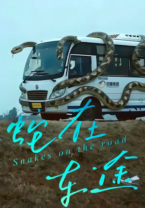 蛇在车途（34集）短剧热映全集免费刷