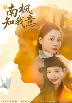 南枫知我意（41集）短剧经典全集任你选