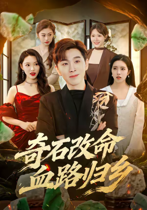 奇石改命血路归乡（81集）短剧完结全集限免刷