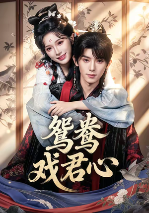 鸳鸯戏君心（60集）短剧全集幕后花絮版