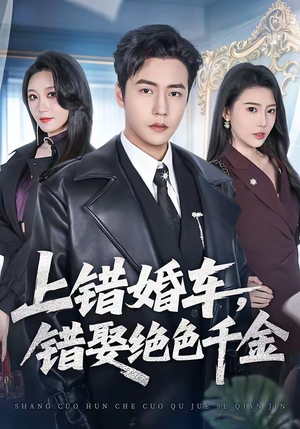 上错婚车，错娶绝色千金（80集）短剧限免全集任你点