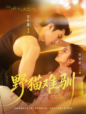 野猫难驯（73集）短剧合集通宵追更版