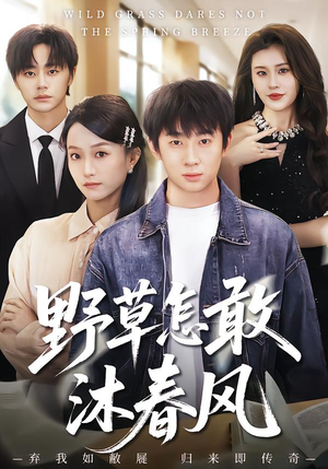 野草怎敢沐春风（61集）短剧大结局限免特辑