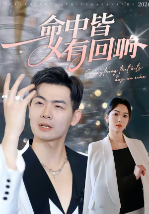 命中皆有回响（62集）短剧全集无删完整版