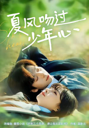 夏风吻过少年心（76集）短剧大结局限免特辑