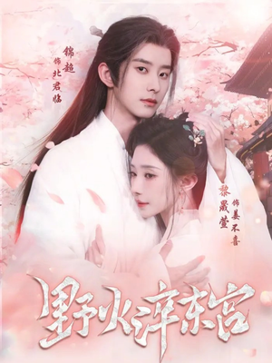 野火淬东宫（76集）短剧全集投屏大屏看