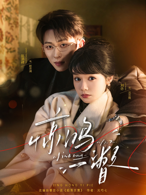 惊鸿一瞥（72集）短剧全集投屏大屏看