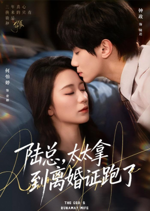 陆总，太太拿到离婚证跑了（86集）短剧经典全集任你选