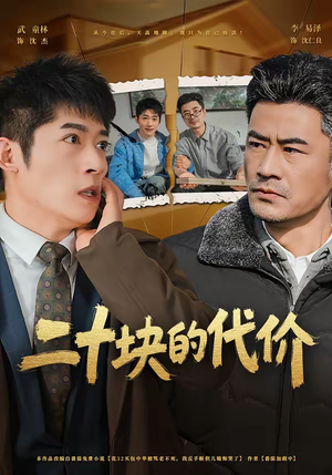 二十块的代价（64集）短剧全剧终限免合集