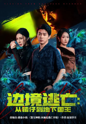 边境逃亡:从猪仔到地下国王(81集) 边境逃亡:从猪仔到地下国王(81集)短剧最终回限免畅看