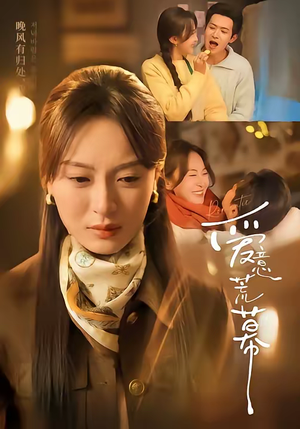 爱意荒幕（70集）短剧全集投屏大屏看