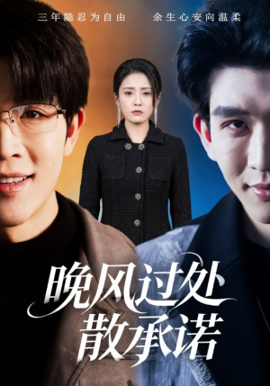 晚风过处散承诺（65集）短剧大结局合集放送