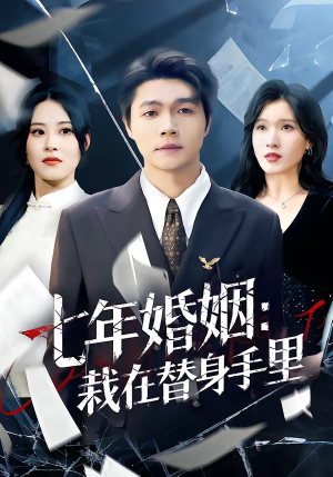 七年婚姻:栽在替身手里(80集) 七年婚姻:栽在替身手里(80集)短剧最终章免费合集
