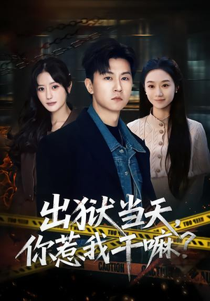 出狱当天，你惹我干嘛？（62集）短剧宝藏全集限免看