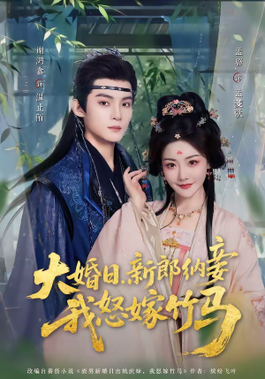 大婚日，新郎纳妾我怒嫁竹马（80集）短剧收官全集限免看