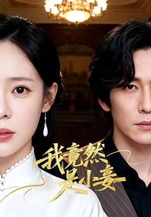 我竟然是小妾（47集）短剧精选全集无广告