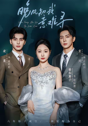 晚风知我意难寻（60集）短剧全剧终高清放送