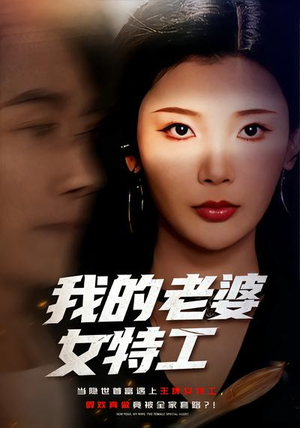 我的老婆女特工（62集）短剧合集杜比音效版