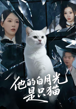 他的白月光是只猫（69集）短剧最终章免费合集