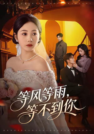 等风等雨，等不到你（65集）短剧终章免费大放送