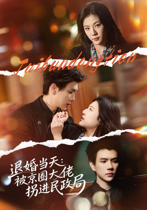 退婚当天：被京圈大佬拐进民政局（80集）短剧全集连看不停歇