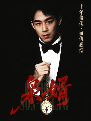 枭婿（62集）短剧限免全集任你点