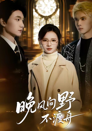 晚风向野不渡舟（60集）短剧超清全集在线看