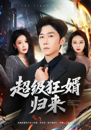 超级狂婿归来（81集）短剧完结全集限免刷