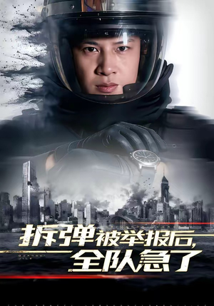 拆弹被举报后，全队急了（50集）短剧热播全集免费追