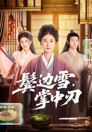 鬓边雪，掌中刃（60集）短剧合集4K修复版