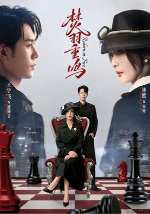 焚羽重鸣（60集）短剧经典全集任你选