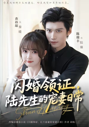 闪婚领证，陆先生的宠妻日常（86集）短剧最终章免费合集