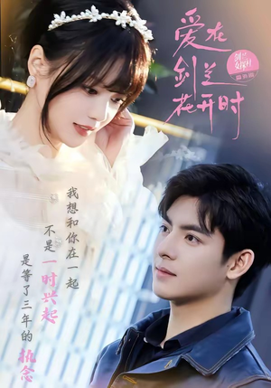 爱在剑兰花开时（56集）短剧大结局全集解锁