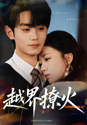 越界撩火（64集）短剧大结局限免特辑