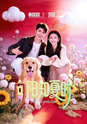 向阳知夏时（80集）短剧大结局限免特辑