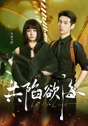 共陷欲海（66集）短剧合集蓝光画质