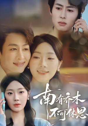 南有乔木，不可休思（68集）短剧大结局全集特惠