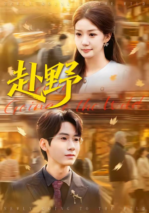 赴野（40集）短剧大结局连更全集