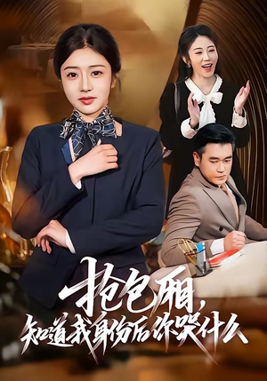 抢包厢，知道我身份后你哭什么（70集）短剧限免全集任你点