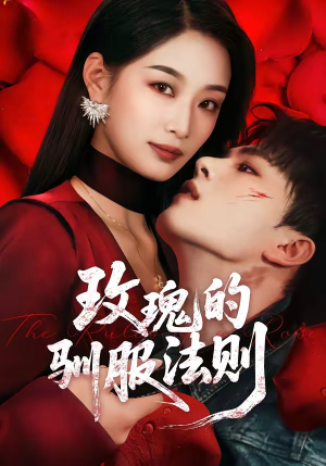 玫瑰的驯服法则（65集）短剧合集通宵追更版